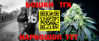 крисы Кулебаки