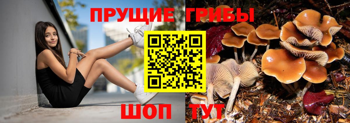 Галлюциногенные грибы GOLDEN TEACHER  Галлюциногенные грибы Psilocybe  Вход с VPN  Донской 